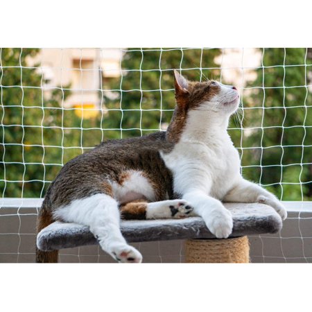 An adorable brown and white cat, perched atop a cat tree in front of net fencing