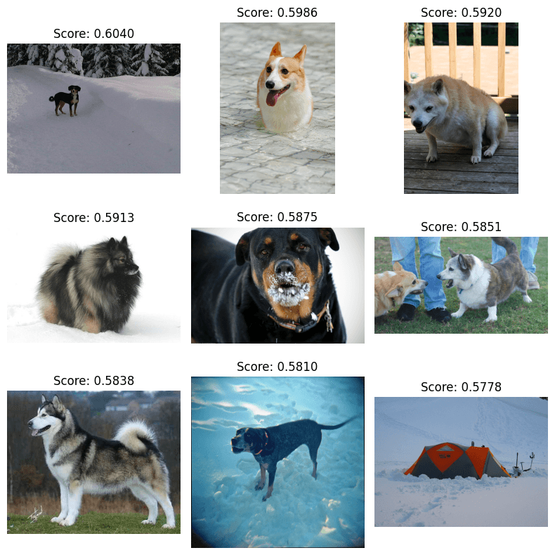 A grid of photos. Most photos contain either a dog or snow, or both. One of the dogs is definitely a corgi.