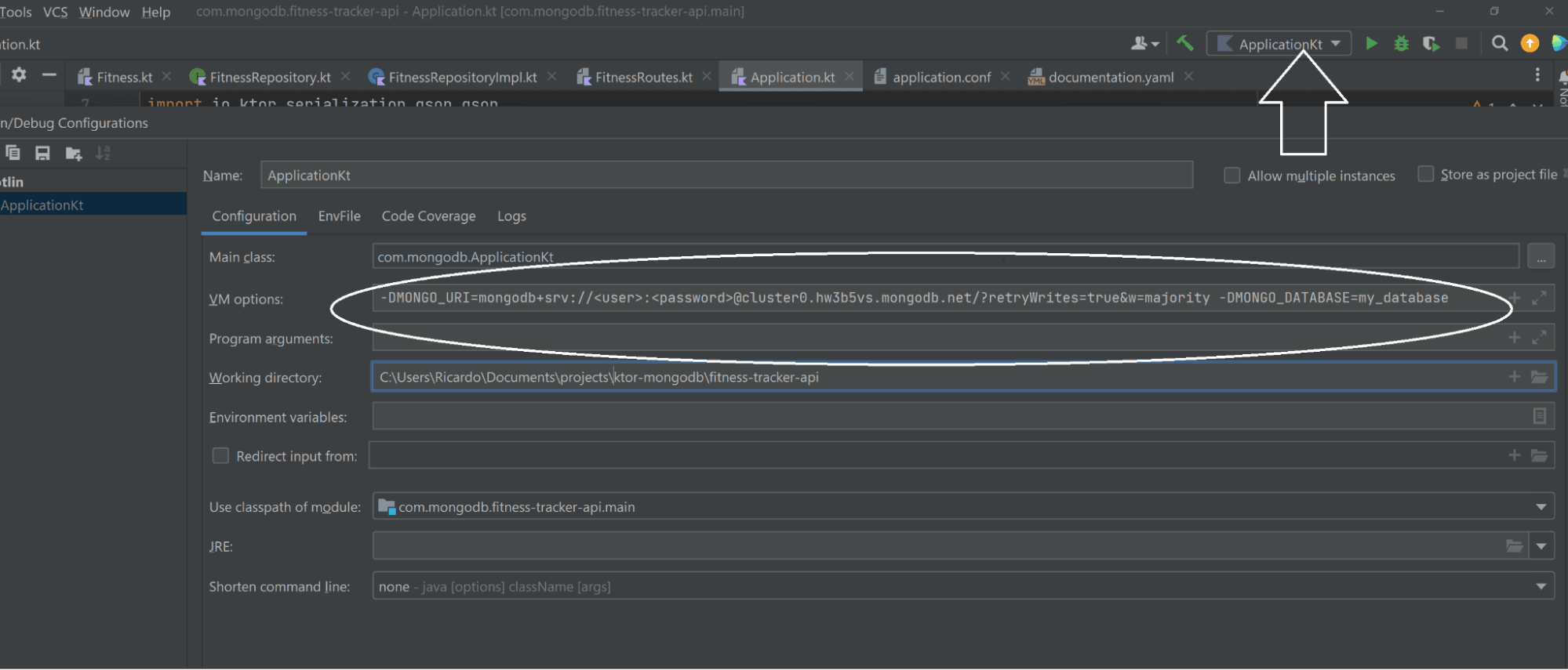 IntelliJ Run Settings