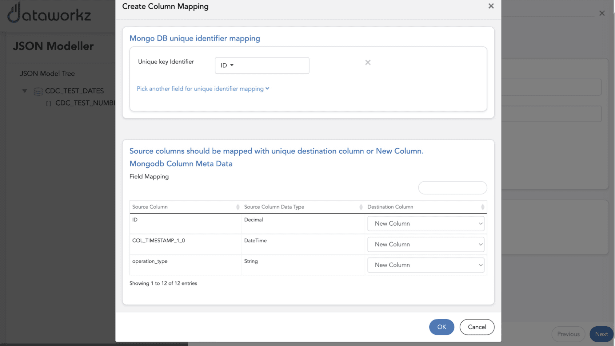 Dataworkz custom mapping settings screen