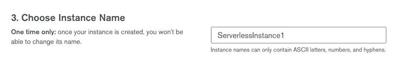 Name Serverless instance input