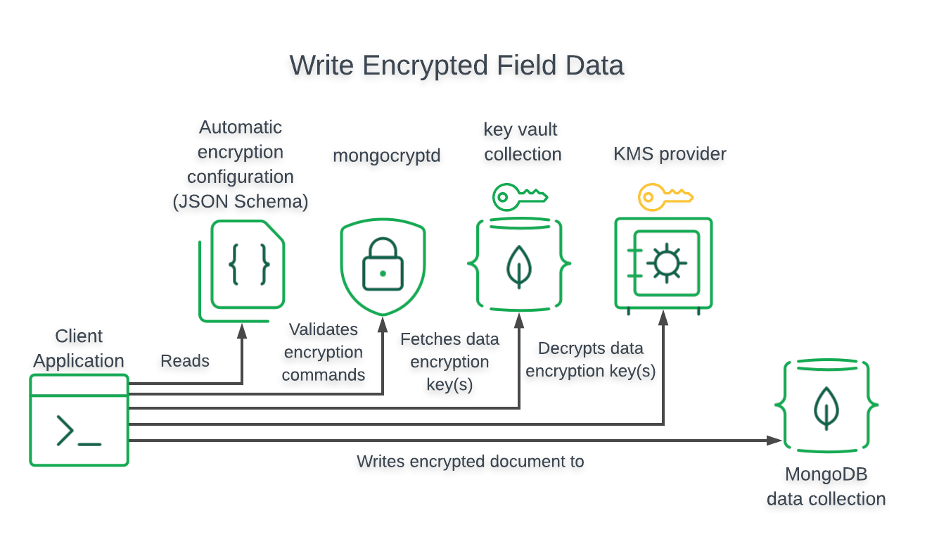 Diagram that shows the data flow for a write of field-level encrypted data