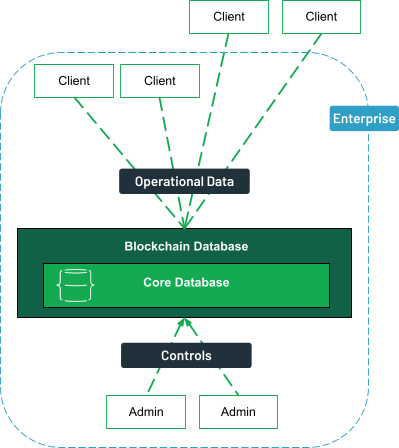 Clients, both internal and external can access the blockchain database for operational data. The administrators inside the enterprise control the database.