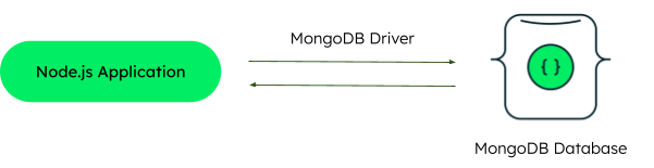 image demonstrating the relationship between the node.js driver, application, and MongoDB database for use with Javascript