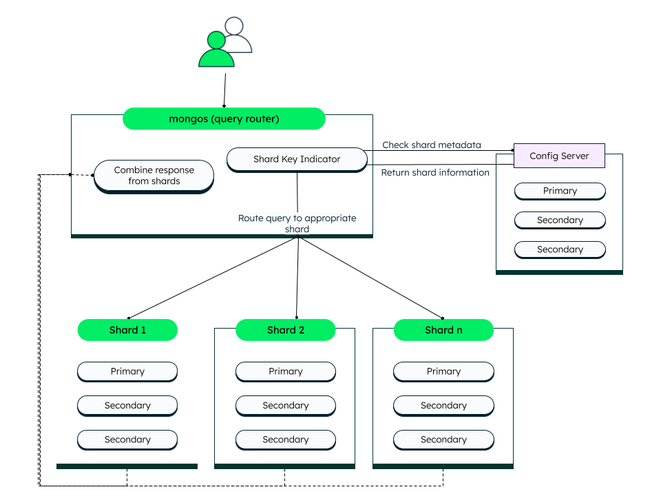 An image over a config server replica set in MongoDB