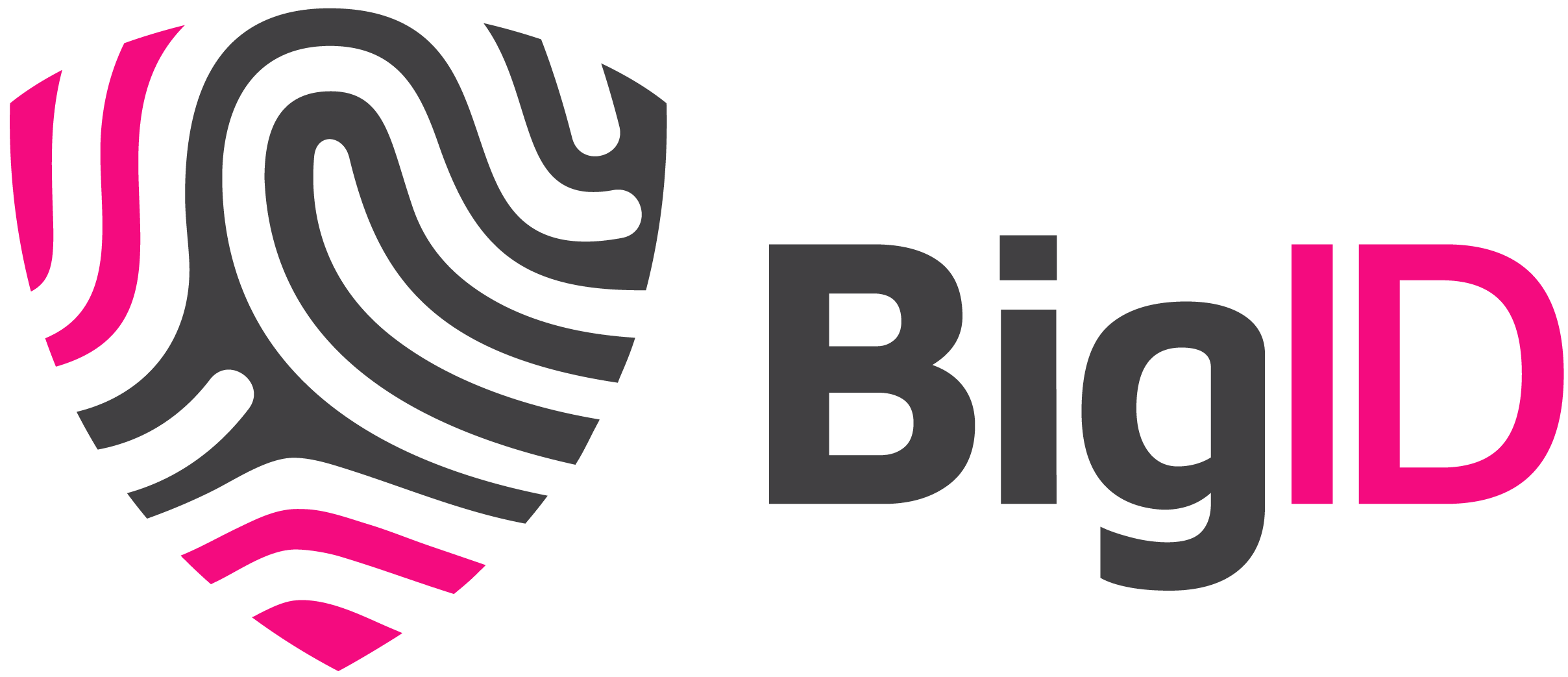 BigID logo